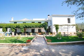 Magnificient Rural Home With Pool and BBQ - Alicante - 6