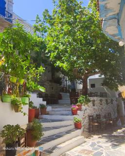 Fasolas square house "FREIDERIKI" is located 30 stairs up from the main road and it is in the old market "fasolas" and next to the museums - Filótion - 0