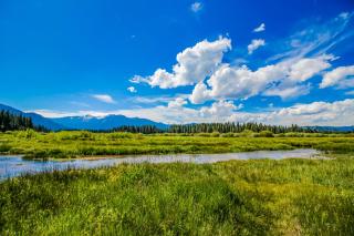 Sunlit Forest Haven - South Lake Tahoe - 6