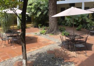 Hotel Allende Morelia - Morelia - 7