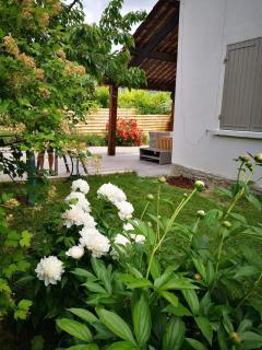 Maison 3 étoiles avec jardin pour familles, sportifs, curistes... - Digne-Les-Bains - 8