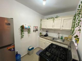 8 Santiago Monumental Area Cozy and lovely to enjoy 3 bedrooms Apart transportation 24 hours - Santiago de los Caballeros - 4