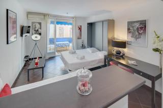IMMOGROOM -Terrace -air conditioning - City-center - Cannes - 3