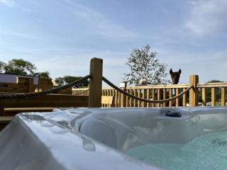 Lion King Safari Tent - Tenby - 9