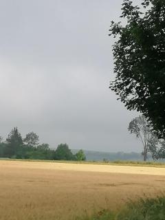 Wyciszek - mazurska agroturystyka - 3