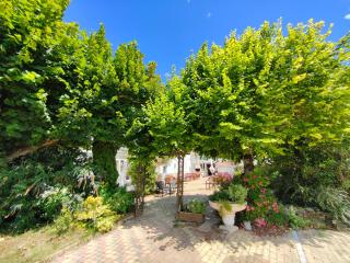 Auberge Le Chata - Saint-Georges-de-Didonne - 9