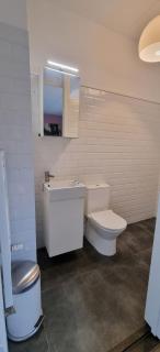 Lovely 1 bedroom apartment with garden no smoking - 3