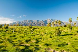 Pebble Beach Haven Permit# STR2023-0219 - Palm Desert - 1
