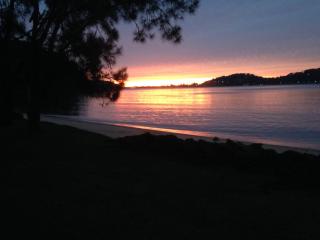 Currawong Beach Cottages - 8
