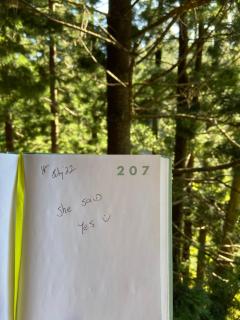 Cottage in The Woods, Maleny - Maleny - 4