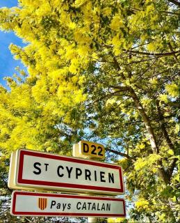 L’ Appart du Golf - Saint-Cyprien - 6