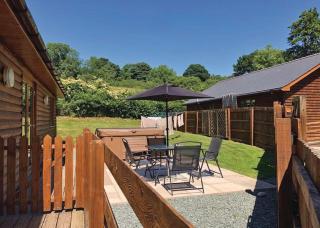 Heartsease Lodges - Llanddewi Ystradenny - 6