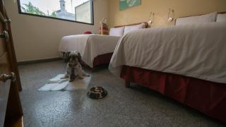 Hotel Urban Express - Villahermosa - 3