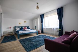 DANIA&PETRU RESIDENCE - Tîrgu Ocna - 7