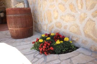 Apartment in Villa Rustica - Ljubač - 2
