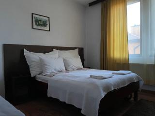 Guest house Elit - Dobrinishte - 1