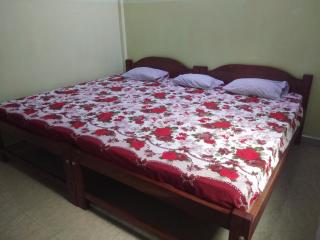 Luiza Guest House - Baga - 1