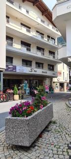 Alphotel Garni Salner - Ischgl - 8