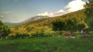 Vila Lapušnja - najam cele vikendice - Krivi Vir - 7