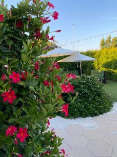 Villetta Martino Guest House - Torre Chianca - 6