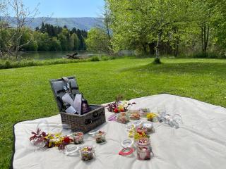 Glamping PEC - HALFBOARD - Selnica ob Dravi - 7