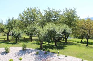 Glamping PEC - HALFBOARD - Selnica ob Dravi - 1