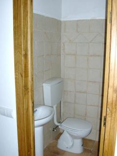 Historical 4 - Bedroom Villa in Alcobaca - 1
