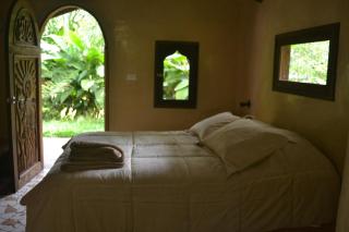 Eco Hotel La Jicarita - Coatepec - 8