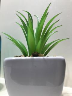 Faliraki Seadream apartment,50m from the beach - 1