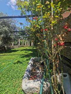 Exclusiva Casa Rural Mariano con acceso directo al rio - 4