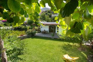 Villa Il Mandorlo with garden and terrace in Forio d'Ischia - Ischia - 9