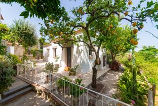 Villa Il Mandorlo with garden and terrace in Forio d'Ischia - Ischia - 5