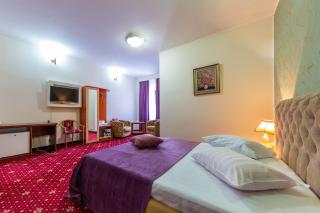 Hotel Amphitryon - Bucarest - 8