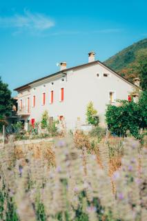 B&B Al Giardino dei Laghi - Revine Lago - 0