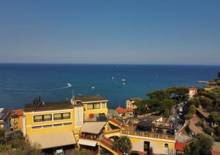 Ulivo - Diano Marina - 4
