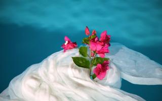 Sea paradise villas - Seaside & private jacuzzi - Oia - 2
