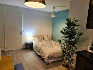 Grand Studio Lyon Villeurbanne Proche Metro - Wifi - 0