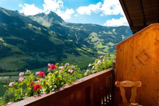 Appartements Hartlbauer - Dorfgastein - 8