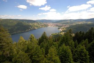Charming 55m near hiking trails - Gérardmer - 1