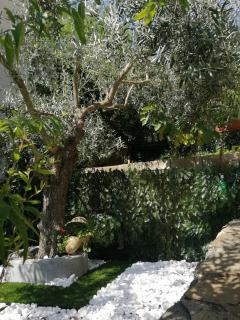 La Vecchia Taverna B&B - Prignano Cilento - 1
