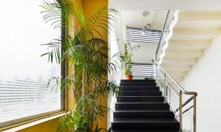 Itsy Hotels Platinum Inn - 7