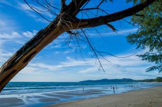 Pai Tan Villas - SHA Extra Plus - Bang Tao Beach - 3