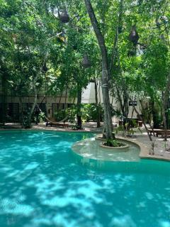 Jungle View 2bed 2bath Condo/ Wi-Fi/ Pool/ Gym - Tulum - 5