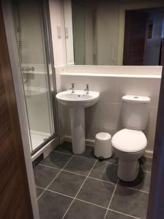 No 2 Minhinnick Court - Tavistock - 1