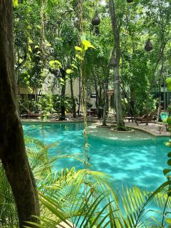 Jungle View 2bed 2bath Condo/ Wi-Fi/ Pool/ Gym - Tulum - 6