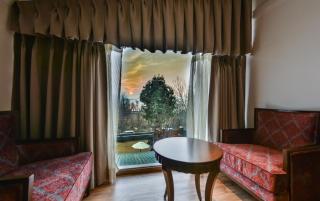 HOTEL METROPOLIS SRINAGAR - Srinagar - 7