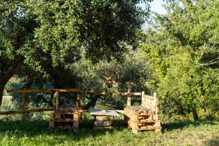 U Saccataro Casa Vacanze - Ogliastro Cilento - 7