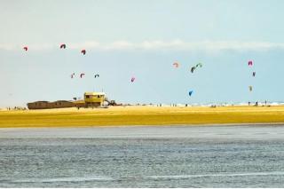 Appartement LEUCATE - Leucate - 1