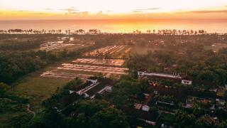 Alila Diwa Goa - A Hyatt Brand - Majorda - 4