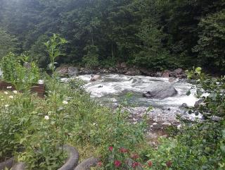 AYDER LEVUT Bungalov - Ayder Yaylasi - 6